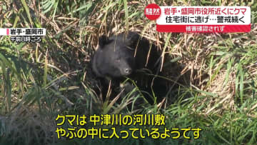 岩手・盛岡市中心部にクマ出没　住宅街に逃げ…警戒続く