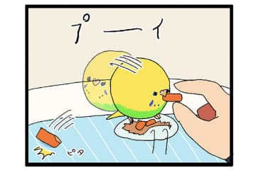 観覧車で大ハプニング!? おもちゃに挟まるインコの受難【鳥マンガ #138】