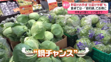 「鍋野菜」がお手頃価格、いつまで？　白菜・レタス・キャベツが平年より安く