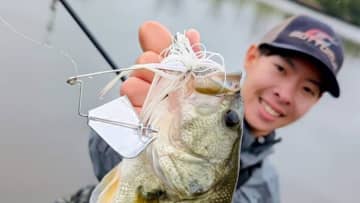 秋のカスミのバズベイトゲーム。巻くスピードにコツあり！「ペラを少し沈めて巻く、4/5くらい？」