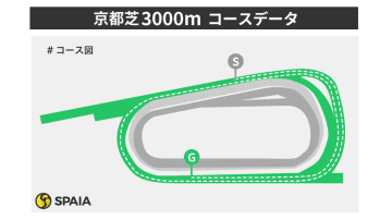 「複回108%」武豊騎手、「単回308%」ルメール騎手が双璧　京都芝3000mを徹底分析