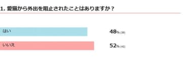 【調査】愛猫から外出を阻止されたことはある？　獣医師の解説つき