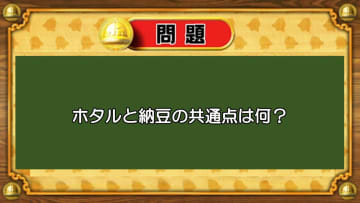 【おめざめ脳トレ】なぞなぞ！ホタルと納豆の共通点は何でしょうか？【『クイズ！脳ベルSHOW』より】