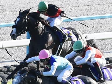 【菊花賞】前走1着馬より好走の確率が高いのは！？セントライト記念組で見る攻略POINT