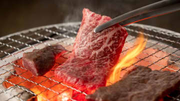 同じ100gでも鶏100円、豚200円、牛1,000円…「ちょっと贅沢」でも納得の“牛肉が高い理由”
