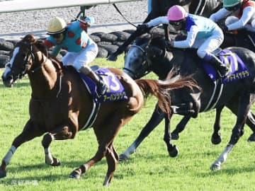 【菊花賞】買い目には必ず入れたい貫録の好成績と無双状態のジョッキーとは！？騎手で見る攻略POINT