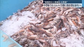 小型船のスルメイカ漁に「停止命令」予定　漁獲枠の上限超える豊漁