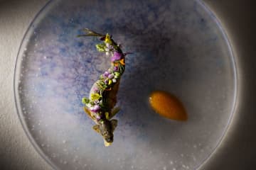 星野リゾート、コース料理の品数を7～13で選べる“ミニマル”スタイルを「ブレストンコート ユカワタン」で提供開始