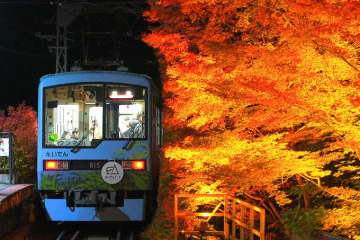 日テレ サクサクヒムヒムは「観光列車」特集！、10月25日放送