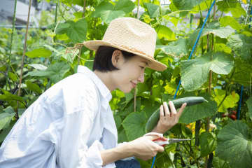 「とにかく安いもの」から卒業…節約目的で始めた家庭菜園が40代主婦にもたらした新たな視点【読者体験談】