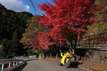 紅葉を楽しむならココ行こう！ ライダーズカフェ3選【モトメガネ編集部厳選】