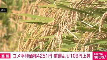 コメ平均価格4251円 前週より109円上昇 再び過去最高値に迫る