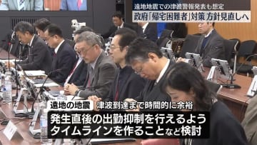 政府「帰宅困難者」対策の方針見直しへ　遠地地震での津波警報発表ケースも想定