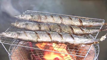 「サンマ買いません」豊漁で安価だったサンマが高騰…9月下旬から水揚げ低調でサイズも小ぶりに　冷凍物に変更する飲食店も