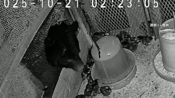相次ぐクマ出没　札幌で初の緊急銃猟　山形ではブランド地鶏食い荒らし…秋田で4人襲撃1人死亡　紅葉の日光でも目撃情報多数