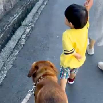 散歩中、側溝を歩きたがる小さな男の子→元保護犬が『危ない』と気づいて…思わず泣けてくる『尊い行動』に反響「優しくて涙が…」「素晴らしい」