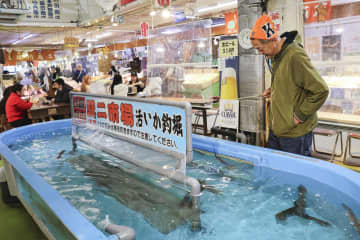 休漁のスルメイカ漁、再開要望　函館の漁師「生活危うい」