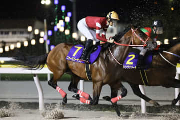 ブリーダーズカップ2025】JRA所属馬7頭が予備登録…フォーエバーヤング