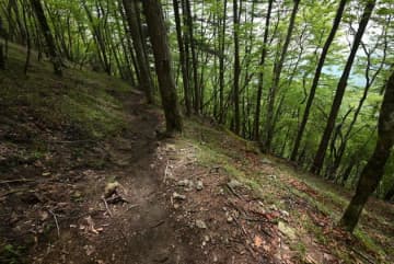 ふと後ろを振り返る⇨特別天然記念物の「動物」が。八ッ場ダムの管理支所が“現場写真”を投稿