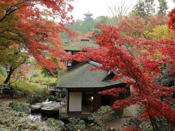 「横浜」に詳しい旅のプロが感動した！ 秋の行楽に本気で推したい名所3選【2025年最新】