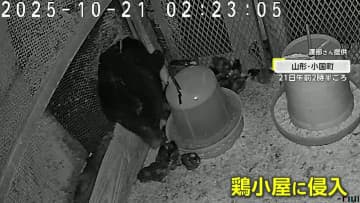 遭遇したら「クラクション鳴らさないで」各地でクマ出没…山形でブランド地鶏食い荒らし　札幌では初の緊急銃猟で駆除　登山道閉鎖に“紅葉スポット”にも影響