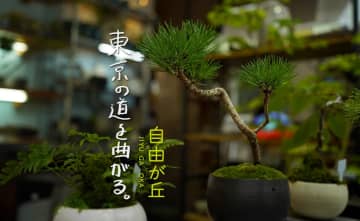 “盆栽＝おじいさんの趣味”はもう古い 自由が丘の専門店が提案する生活の品