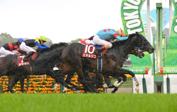 【菊花賞】脅威の末脚・エネルジコが菊花賞の主役へ ルメール騎手とのタッグで戴冠狙う