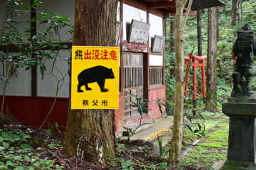 クマ出没に注意　11月から紅葉が本格化…埼玉・秩父市、観光客らに警戒を呼びかけ　住宅や畑が点在する場所でも目撃　ハイキングコース内に看板も新たに設置　「外出前に目撃情報や出没マップのチェックを」