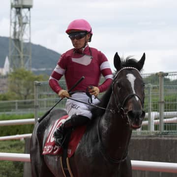 【菊花賞】神戸新聞杯王者・エリキング 力強い豪脚でクラシックの主役候補に