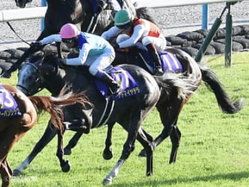 【菊花賞】複勝率29％！上位人気になるケースは少ないが配当妙味は十分の波乱の主役となるのは！？
