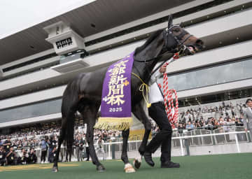 【菊花賞】ショウヘイが得意の京都で輝くか 大谷翔平のような強さで菊のタイトルを目指す