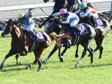 【菊花賞】ルメール騎手と組み合わせて2頭軸マルチで流したいのは！？3連単的中させる軸馬の狙い方