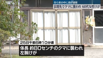 玄関先でクマに襲われ…60代女性が左腕にケガ　宮城・大衡村