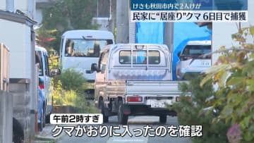 民家“居座り”クマ、6日目で捕獲　秋田・湯沢市