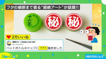 捨てられるはずのペットボトルのキャップがアートに！“超絶技巧”に「リアルすぎるw」と反響