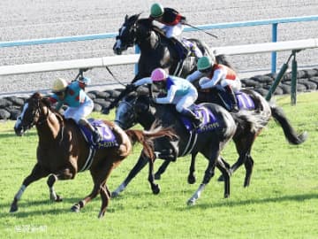 【菊花賞】条件戦組は前走芝2200Ｍ戦で1着だった馬以外は消してＯＫ！3連単的中させる相手馬の狙い方