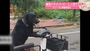 優良ドライバーに…しっぽ？スムーズに車線変更も　中国【#世界のミダシ】