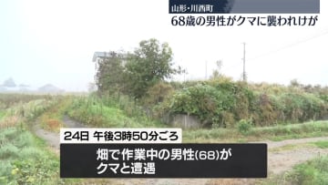 68歳男性がクマに襲われケガ、畑で作業中に　山形・川西町