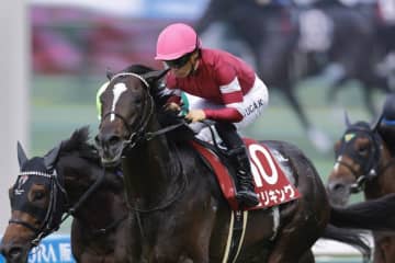 【菊花賞】混戦必至！エリキングは7枠15番へ