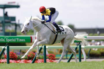 武豊騎手 今週の騎乗馬…白毛馬マルガと重賞参戦