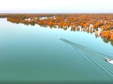 舟から眺めるコトカケヤナギ林　中国新疆ウイグル自治区