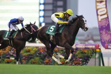 【アルテミスS】良血フィロステファニが重賞初制覇…白毛馬マルガは敗れる