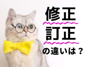 「修正」と「訂正」の使い分け方。同じ"直す"でも意味が違うって知ってた？