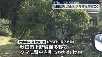 秋田県内でクマ被害相次ぎ4人ケガ…今月34人が被害に　湯沢市“居座り”クマは6日目で捕獲