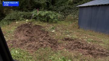 秋田・宮城でクマ被害相次ぐ ランニング中や住宅で襲撃