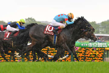 【菊花賞 見どころ】菊舞台には欠かせない人馬の絆 どのコンビがクラシック最後の栄冠を手にするのか