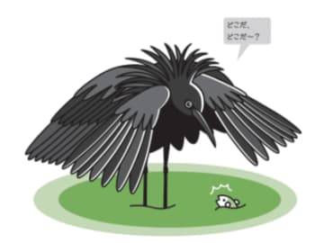 羽の色は地域によって変わる？ 黒くないクロサギがいるワケ【眠れなくなるほど面白い 図解 鳥の話】