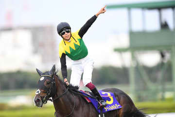 タイトルホルダー「引退しても走る気満々の快速ステイヤー」【もうひとつの引退馬伝説2】