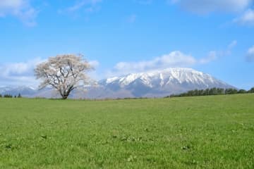 【東北エリアで特産品を生み出す】全工程が手作業の毛織物。ホームスパンに魅せられて職人に｜岩手県雫石町