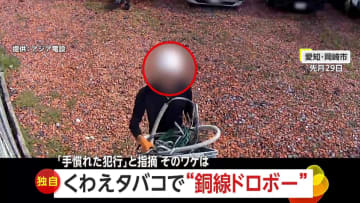 「“拾い屋”かと…最悪の人間ですよ」くわえタバコで銅線泥棒　被害者が手慣れた犯行だと指摘　愛知・岡崎市